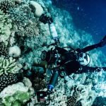 Underwater freediving diving freedive freediver
