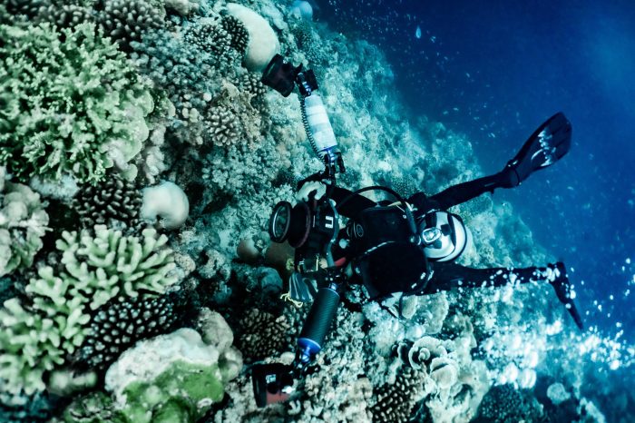 Underwater freediving diving freedive freediver